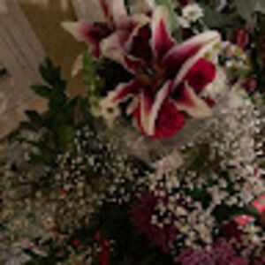 Meet your Posher, Fern